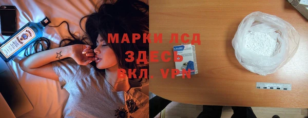 индика Верея