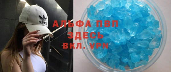 индика Верея