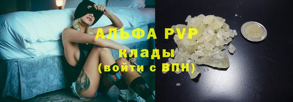 индика Верея