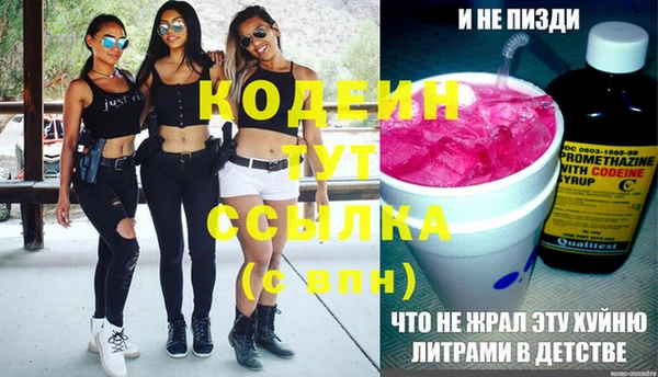 индика Верея