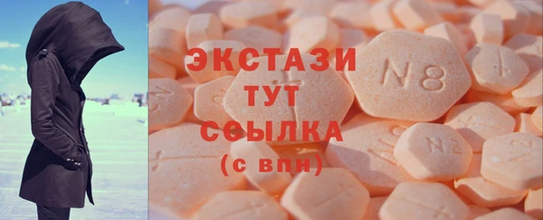 гидра Верхний Тагил