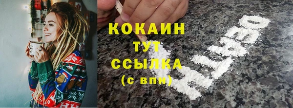 индика Верея