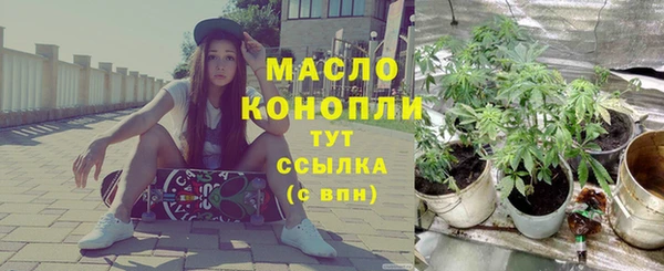 гидра Верхний Тагил