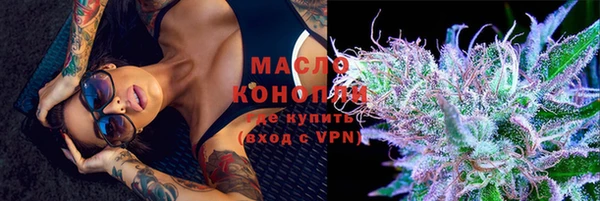 индика Верея