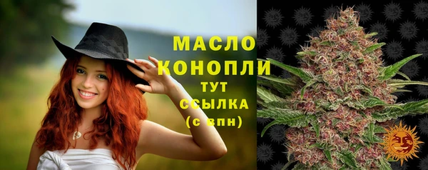 индика Верея