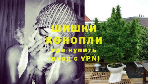 индика Верея