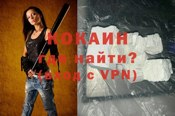 индика Верея